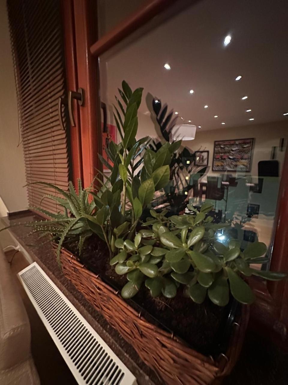 Apartament Josefina 폴라니카-즈루이 외부 사진